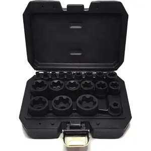 19PCS E Torx Plus Socket Set (EP), External Torx Female 6-Point Sockets, 1/4" 3/8" 1/2" Drive, Auto Repair Tool Kit for Tesla & More