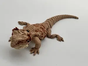 3D Printed Articulating Bearded Dragon