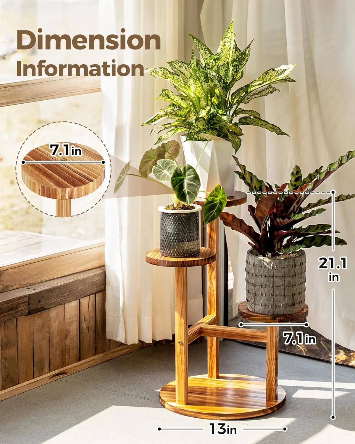 jade plants for sale near me Jade Plant – rePotme