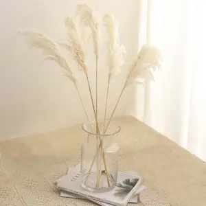 6 Stems Natural Dried Pampas Grass Decor 32" Off White Tint - Fluffy Plant Sprays for Boho Rustic & Vintage Event Themes