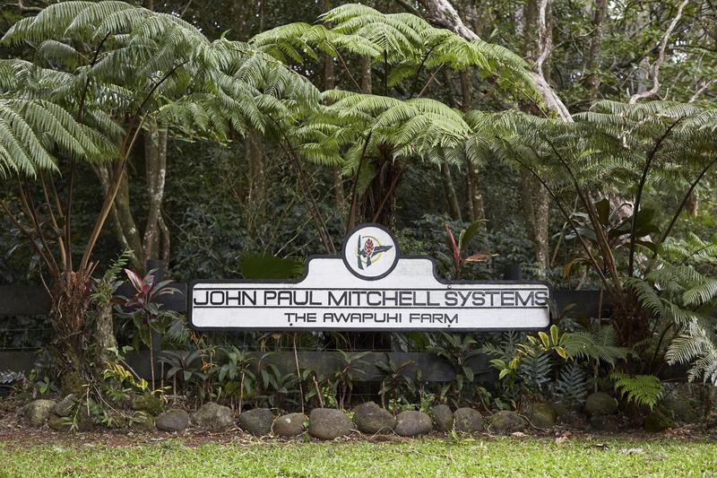 Paul Mitchell Awapuhi Wild Ginger Repair Nourishing Shampoo - Color Safe Sulfate Free 8.5 fl oz Moisture Gentle