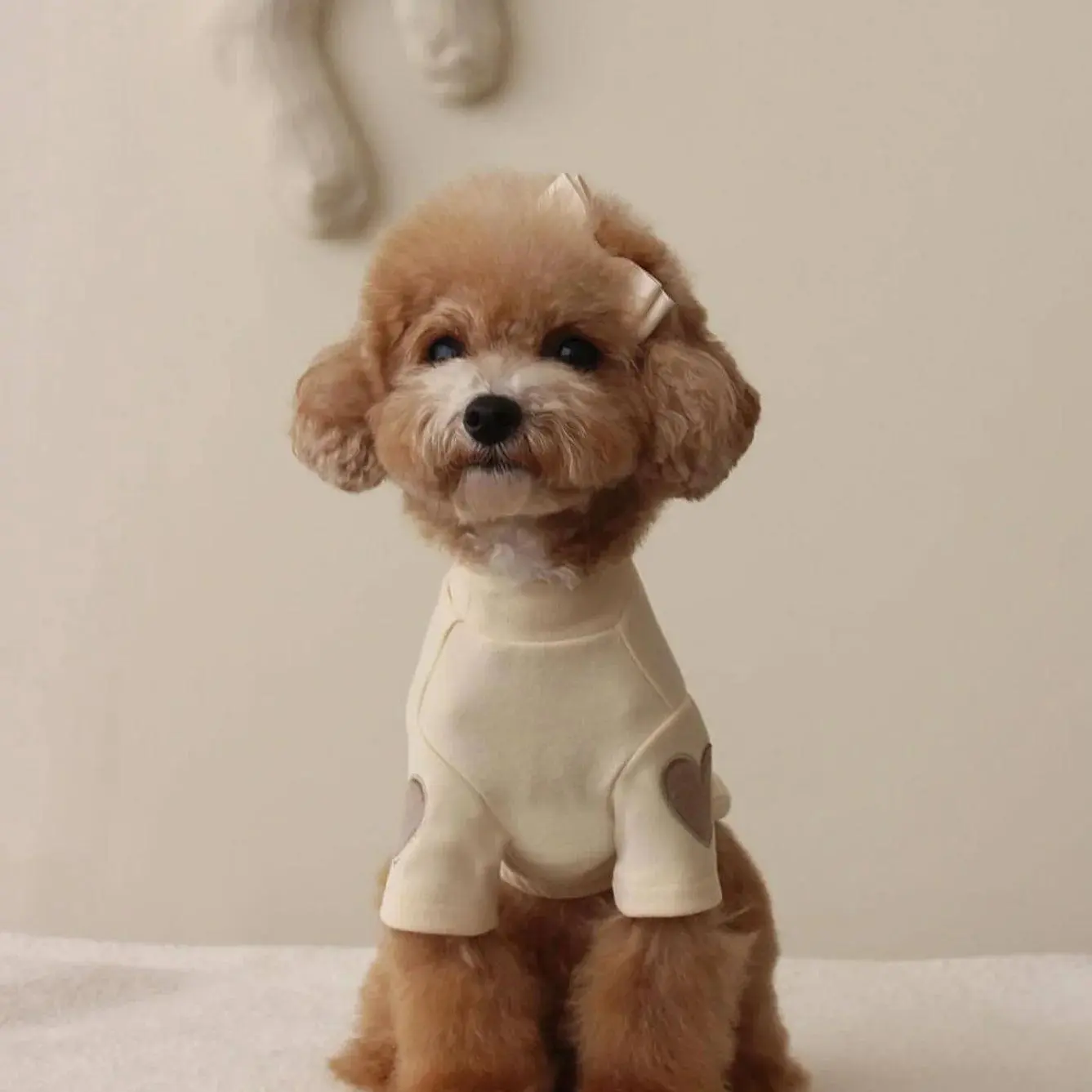 Embroidered Dog Sweater, Pet Supplies for Dogs, Warm Knit Canine Sweater