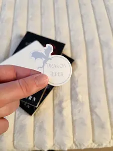 Dragon Rider Bookish Kindle Sticker