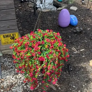 6-Pack Outdoor Artificial Hanging Six Ear Orchid Flowers, Bright Long-Lasting Colors, Indoor & Outdoor Decoration, Perfect for Gardens & Window Sills