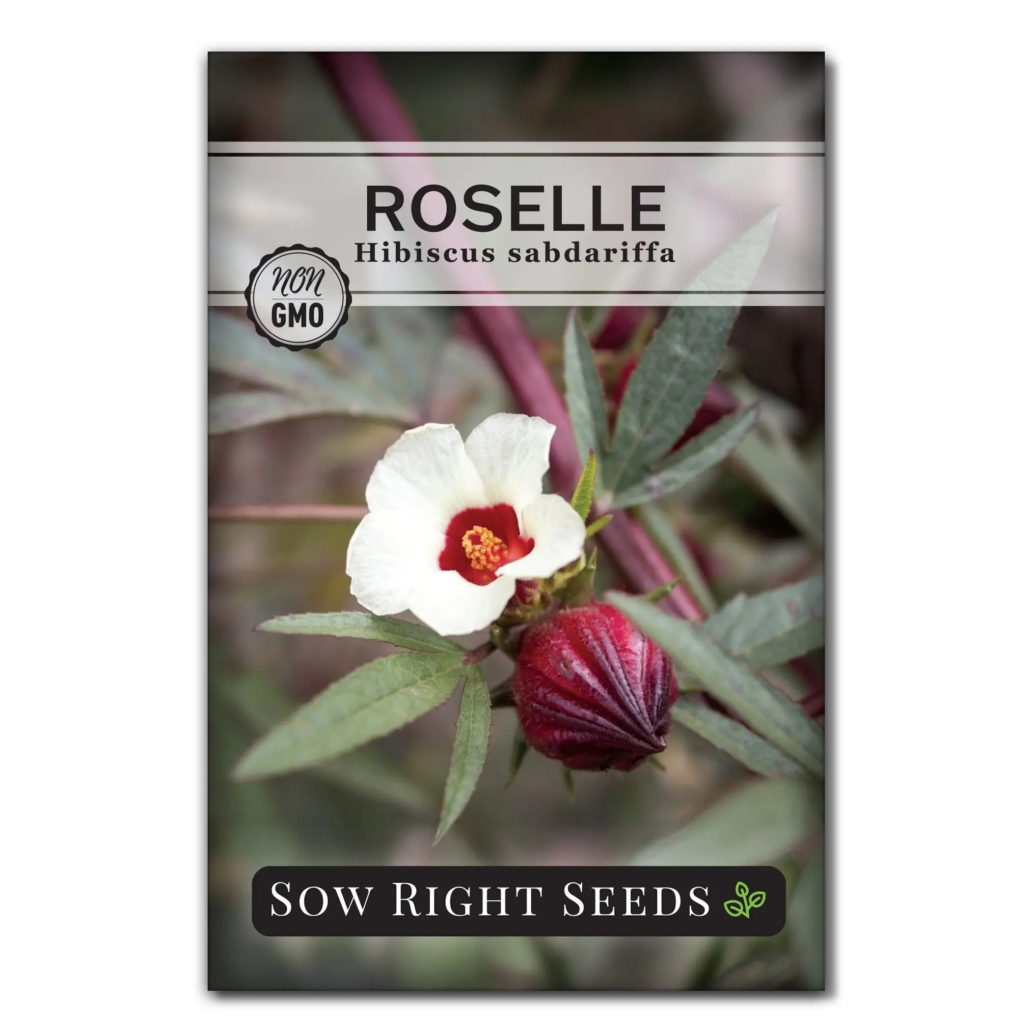 Roselle Seeds