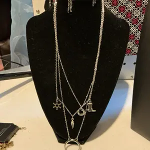 Paparazzi western like necklace. Charm. Complimentary earrings .