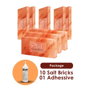 Pink Salt Bricks Pack of 10 With 1 Free Adhesive - Himalayan Salt Bricks