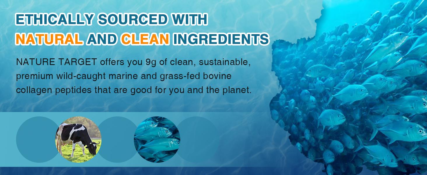 Nature Target Marine Collagen Peptides Powder – Wild Caught, Type I & III, Hydrolyzed, 18 Amino Acids – Skin, Hair & Nail Support – Non-GMO, Gluten-Free, 12.35oz Proteins Nutrition Vitamins Probiotics  Healthcare Edible Supplement Fitness Beauty