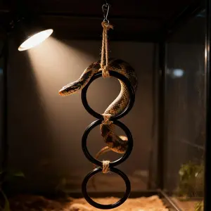 Snake Tank Accessories Accessories Link Rings Supplies Snake Climbing Toy For Habitat Reptiles Arboreal Indoor Outdoor Home
