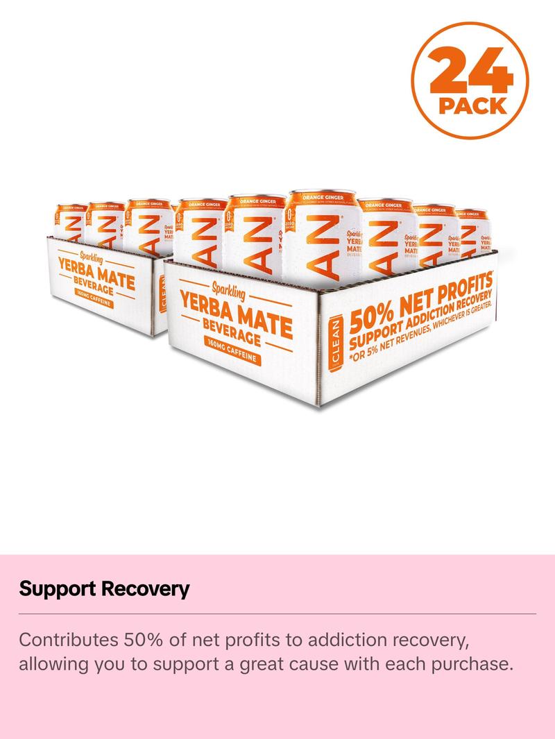 Orange Ginger Zero Calorie Organic Sparkling Yerba Mate Tea Beverage - Sugar-Free