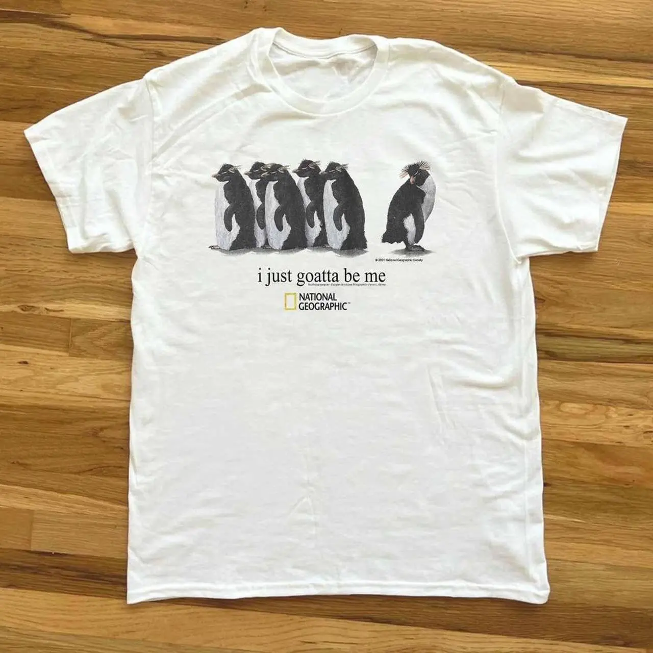 Gildan Men's and Women's T-shirt, National Geographic I just goatta be me penguin cotton t-shirt, Animal tee, Y2k Unisex Graphic Tees Gothic Grunge Emo Scene Amity Affliction Style Clothes Menswear Womenswear Streetwear