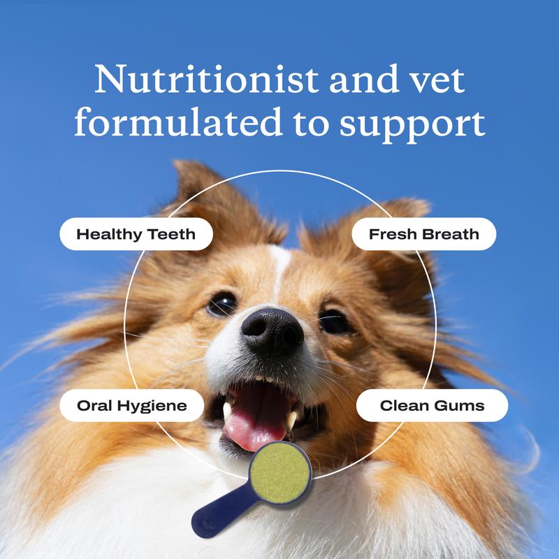 ProBright Advanced Dental Powder - Helps Reduce Bad Breath, Clean Teeth and Target Tartar Buildup. Backed by Two Clinical Studies