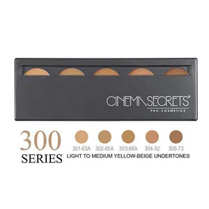 Light-Med Yellow-Beige Undertones, 300 series,Ultimate Foundation 5-IN-1 PRO Palette