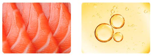 FINN Skin & Coat Salmon Oil Soft Chews for Healthy Skin & Shiny Coat with Omega-3s, Wild Alaskan Salmon Oil, and Essential Vitamins FINN Skin & Coat Salmon Oil Soft Chews for Healthy Skin & Shiny Coat with Omega-3s, Wild Alaskan Salmon Oil, and Essential Vitamins