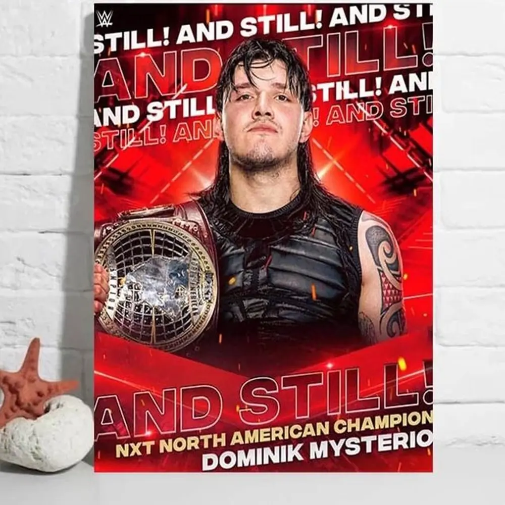 Dominik Mysterio Poster WWE Fan Wall Art Room Decor Print HY1431