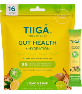 Gut Health + Hydration | 16 Pack Bag