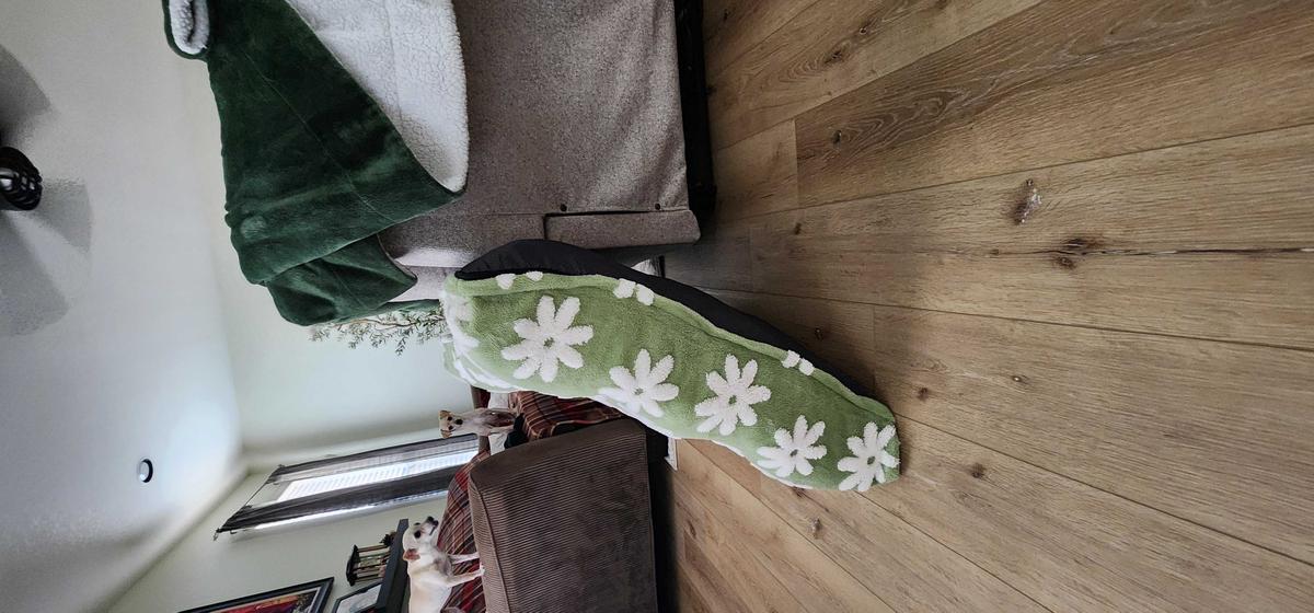 Item: Green, XL(44x32x4)