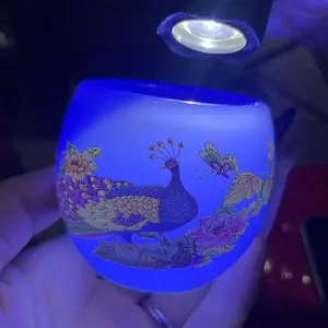 Water cup, porcelain tea cup, master cup, handmade zk