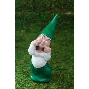 Zombie Gnomes: Put on A F You Face