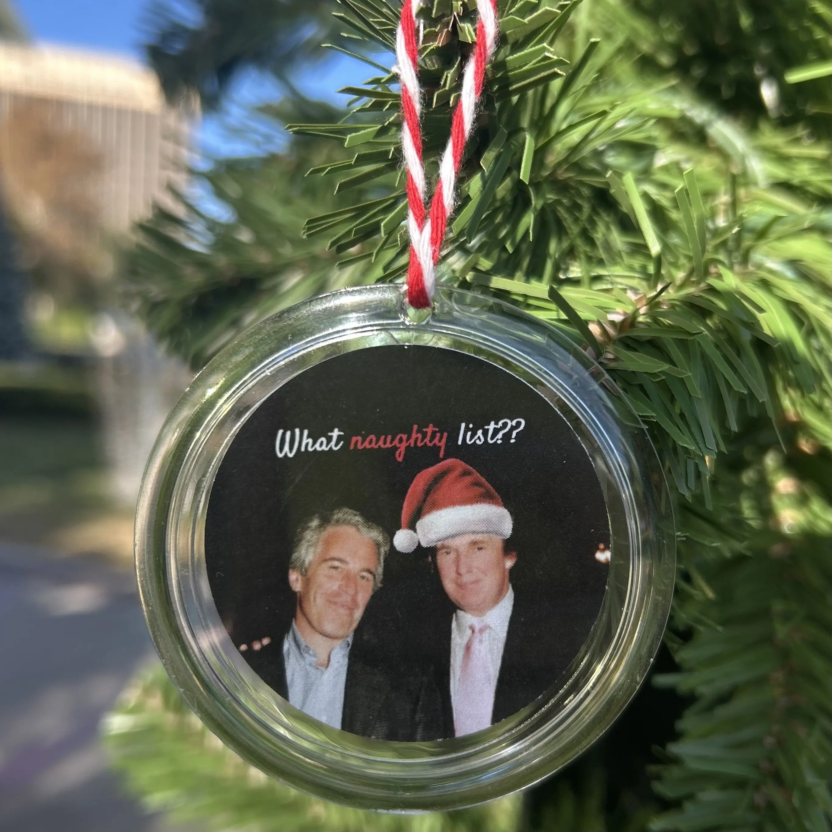 Epstein / Donald Trump Christmas Ornament Naughty List 2025