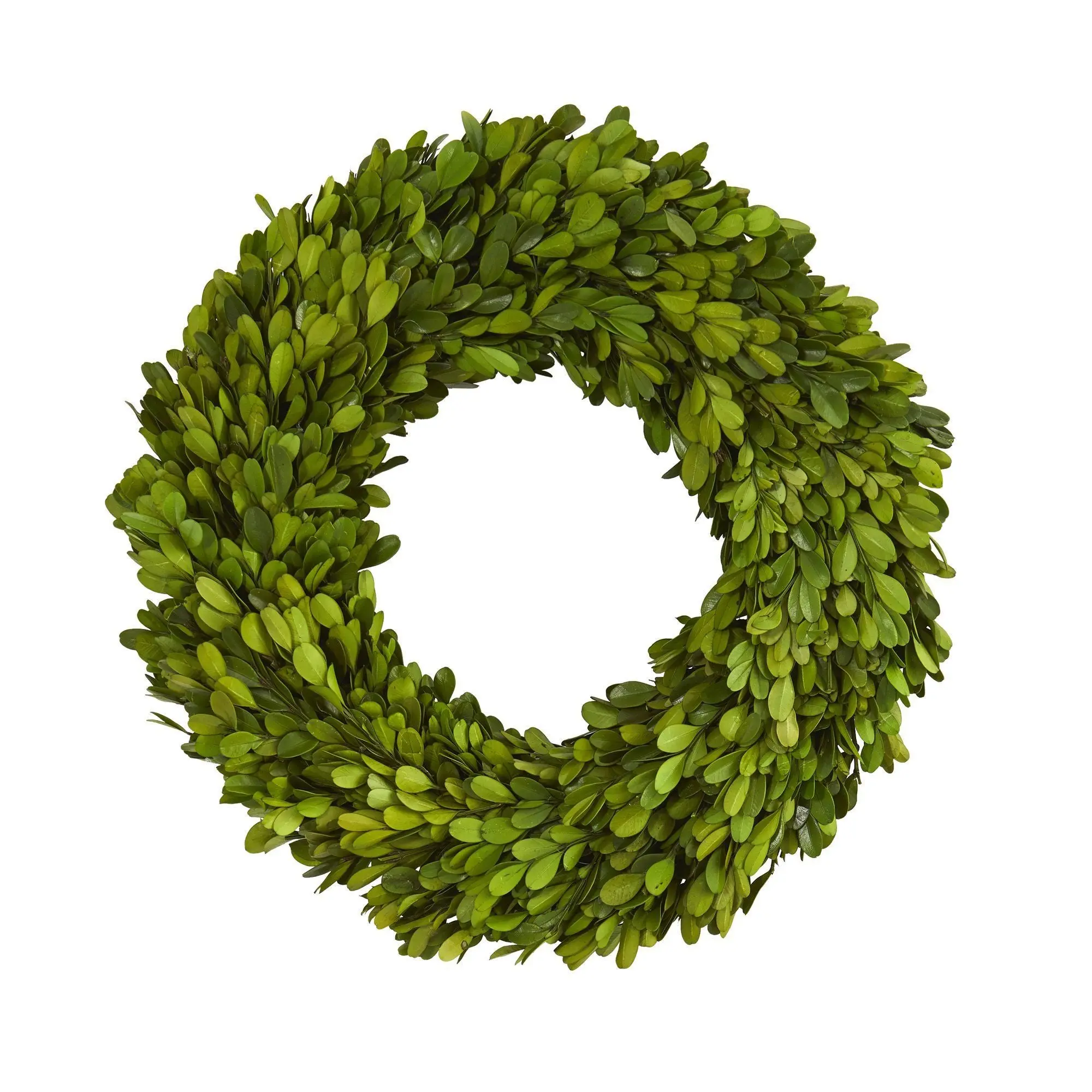 14" Wide Preserved Boxwood Wreath - Door Mount Home Decor Accessory, All Seasons Decorations Supplies, Festive Wreaths Garlands & Swags, Year-Round