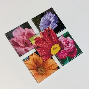 Petal Parade Magnets | Photo Magnets Fridge Magnets | Floral Flower Leaf Petal Home Decor |