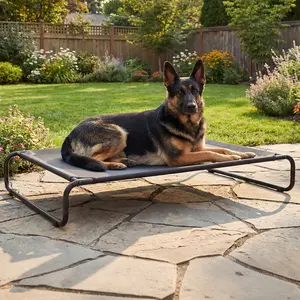 Veehoo Cooling Elevated Dog Bed, Outdoor Dog Bed for Large Dogs, Raised Dog Cot with Thickened Frame, Durable Teslin Mesh & Anti-Slip Rubber Feet, Pet Hammock for Indoor or Camping, 41" x 26", Black