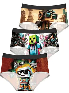 Minecraft Cartoon Print Comfortable Underwear Set, Cute Low Waist Anime Lingerie for Girls, All Seasons Fitted Panties