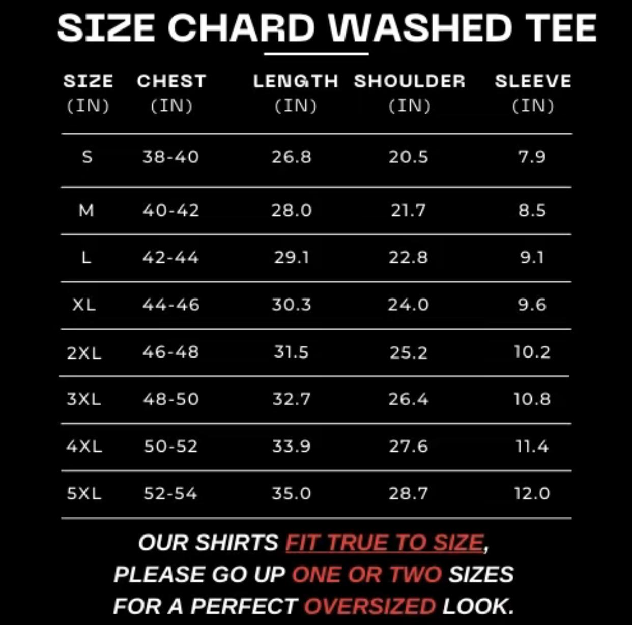 Thragg Invincible Universe Warrior Double Printed Vintage Washed Heavyweight Cotton T-Shirt Unisex Casual Tee, TV show Top Trending Comic Tshirt trendy t-shirts comic tshirt ,graphic tee, vacation outfits men gifts dailywear