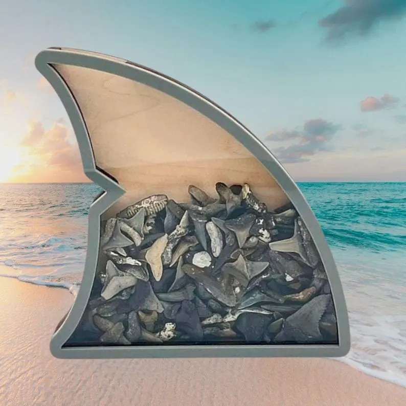 Shark Fin Shadow Box: Beach Keepsake Display for Shark Teeth | Sea Glass 1