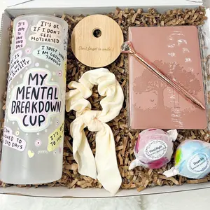 Mental Breakdown Tumbler Frosted 25 Oz Tumbler Gift Girl Journal Self Care Gif Box Best Friend Birthday Gift Girlfriend Gift Box Engraved Tumbler Women Care Package Gift Idea Sister Bath Bombs Mental Health Affirmations Journaling