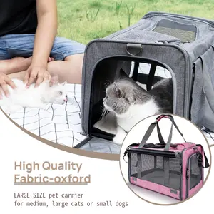 Airline Approved Cat Carrier Backpack for Medium Cats - Meets TSA Guidelines with Bubble Window & Full-Side Ventilation, Foldable, Hands-Free Design - Privacy Cover & Plush Mat for Small Dogs/Puppies up to 15lbs (Lightweight Air Travel)