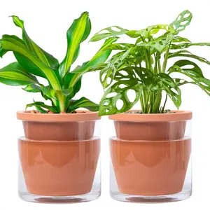 6 Inch Design Self Watering Pot for Indoor , Terracotta Planter with Cylinder Glass Cup, Set of 2, 37-Y-B-1