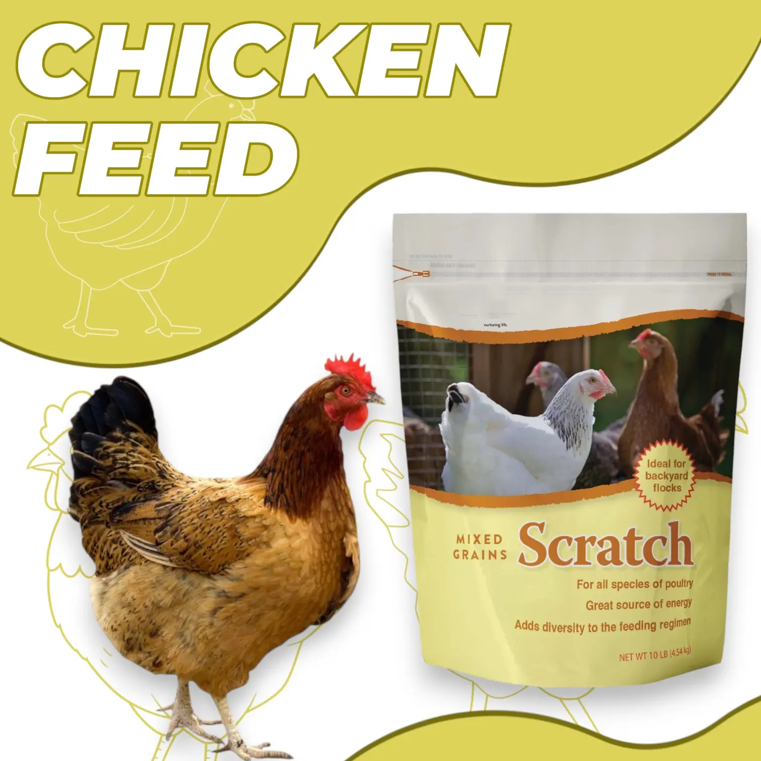 10 lb Bag Mixed Grain Chicken Scratch Feed - Natural Poultry Mix Foraging Fun Blend with Corn, Milo, Wheat for Small Flock Backyard Poultry to Encourage Natural Behaviors