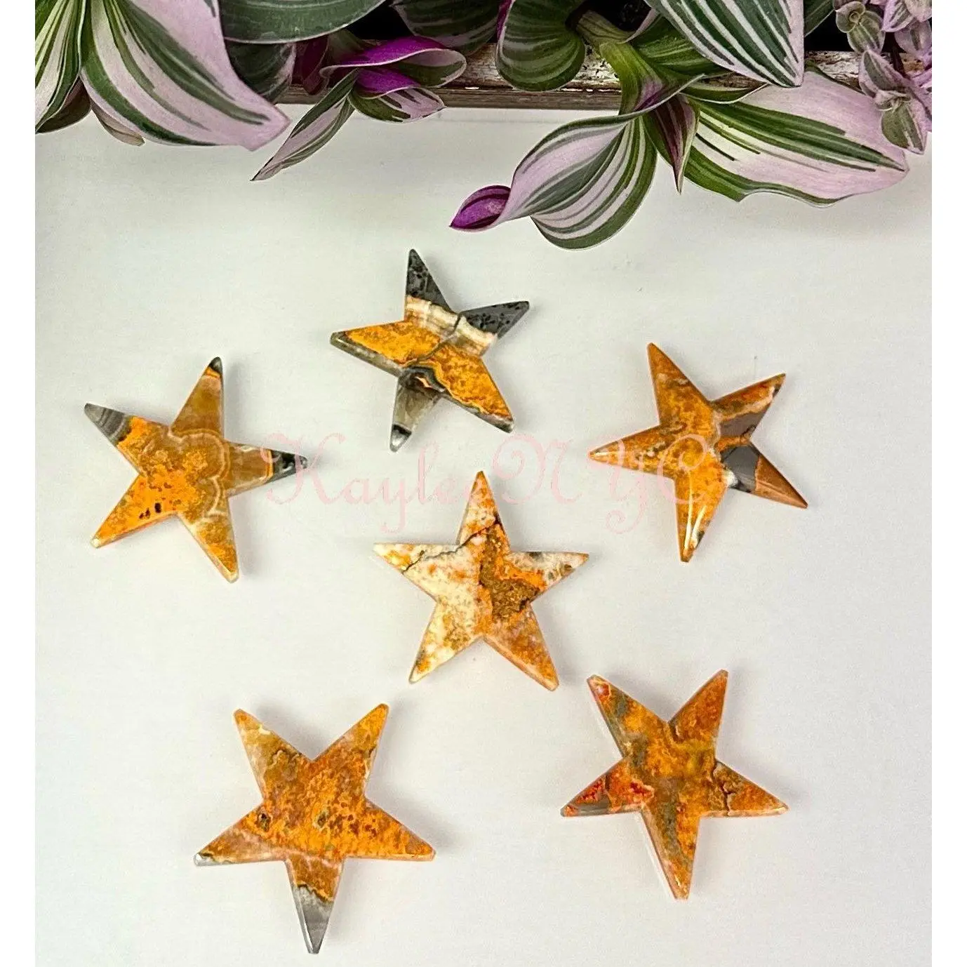 Wholesale Lot 6 PCs Natural Bumblebee Jasper Star Healing Energy