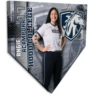 Softball Senior Spotlight Decor Gift