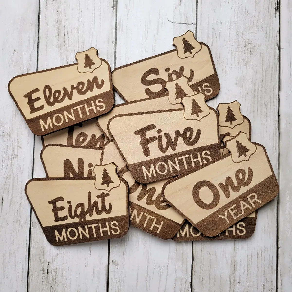 National Parks Recreation Milestone Signs, Baby Photo Prop, Infant First Year Marker, Newborn Photography, Baby Shower Gift, Monthly Tracker