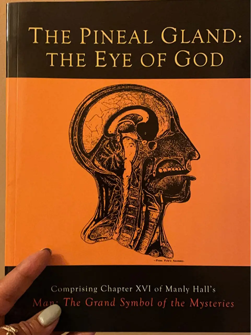 The Pineal Gland: The Eye of God Paperback –