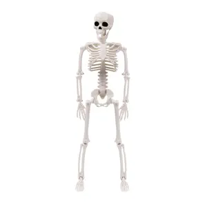 Skeleton Set Full Body with Moveable Joints for Party Yard Garden Decoration Skeleton Set Full Body with Moveable Joints for Party Yard Garden Decoration