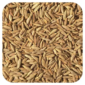 Starwest Botanicals Organic Cumin Seed, 1 lb (453.6 g)