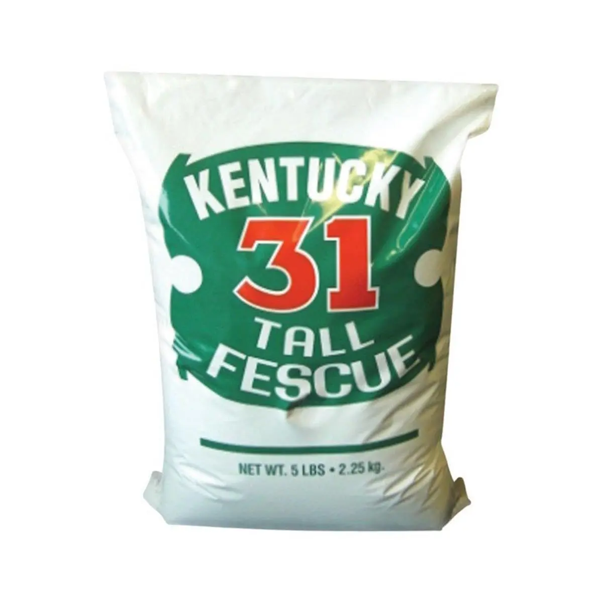212 MAIN K-31 Tall Fescue Premium Lawn Turf Grass Seed, Suitable for Gardens (Barenbrug USA K315ACE00), Premium Lawn Seeds, Turf Grass Seeds