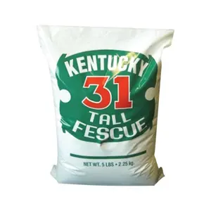 212 MAIN K-31 Tall Fescue Premium Lawn Turf Grass Seed, Suitable for Gardens (Barenbrug USA K315ACE00), Premium Lawn Seeds, Turf Grass Seeds