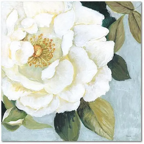 Courtside Market Summer Scent 16x16 Canvas Wall Art