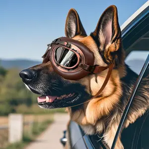 Retro Pet Goggles for Large Dogs, Protective Eyewear for German Shepherd Border Collie Golden Retriever, Foldable Windproof Dog Sunglasses with Adjustable Strap