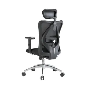 SIHOO M18 Ergonomic Chair with Adjustable Lumbar Support & Headrest, Designed for All-Day Comfort in Work, Study & Gaming