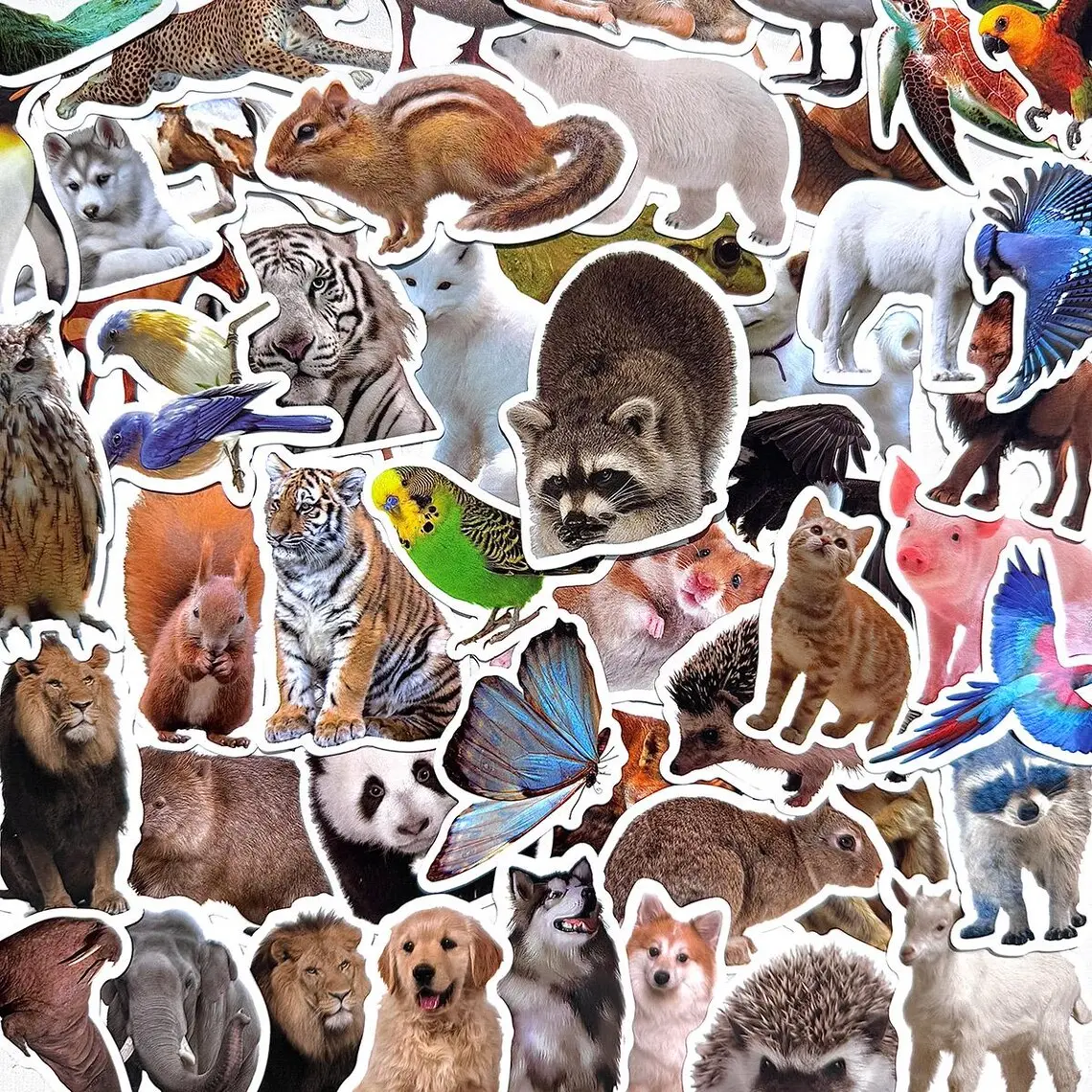 50-Piece Realistic Wildlife Vinyl Sticker Pack, Cute Animal Bird Meme Stickers for DIY Scrapbooking & Stamping (Toys & Hobbies)