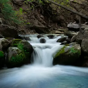 "Spring Beauty" Limited Photo Print for home and office