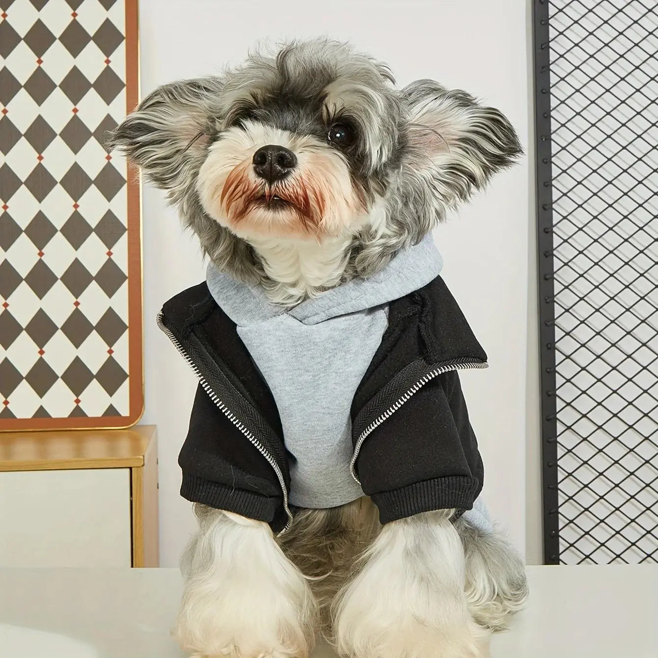 Winter Dog Clothes Pet Warm Hoodies Fashion Comfortable Dog Coat for Small Medium Dogs