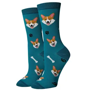 Corgi Socks