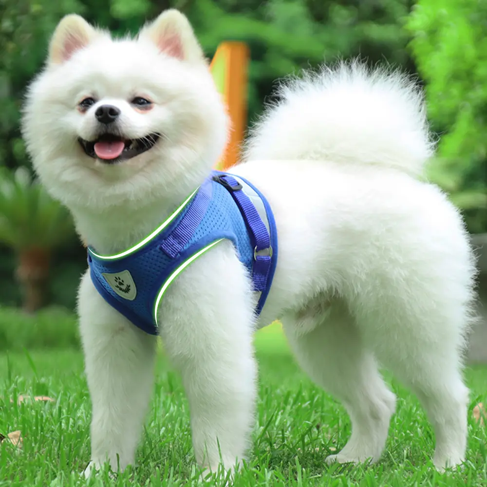 【Free Leash Included 】Lumipet No Pull Dog Harness, Reflective Breathable Mesh Vest with Front & Back Clips, No Choke Escape Proof Walking Harness for Small Medium Large Dogs